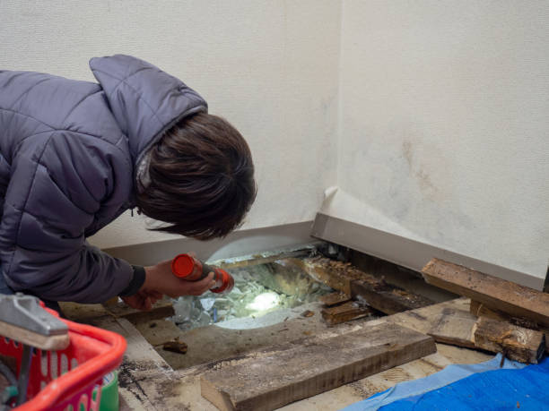 Best Post-Construction Mold Inspection  in Apollo, PA