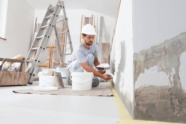 Best Residential Mold Inspection & Testing  in Apollo, PA