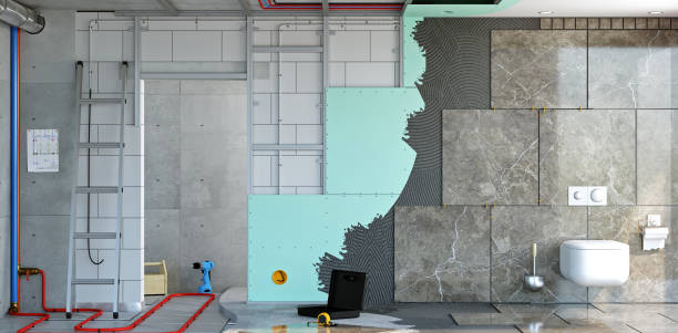 Best Basement Mold Removal  in Apollo, PA