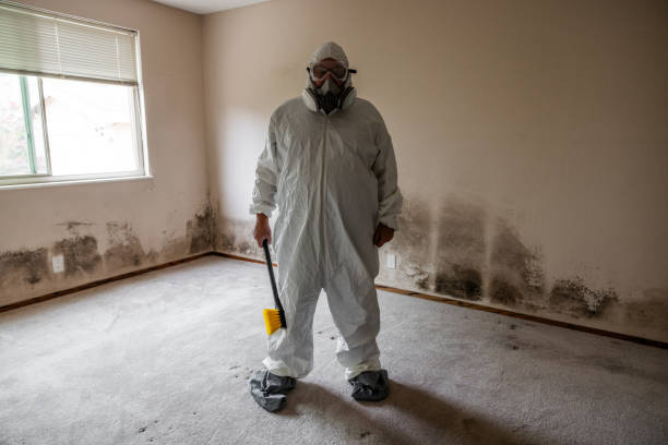Best Mold Removal for HVAC Installations  in Apollo, PA