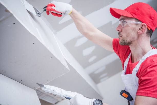 Best Mold Damage Restoration  in Apollo, PA